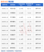 尚益网配资-热点题材数字水印概念是什么？热门概念股有哪些