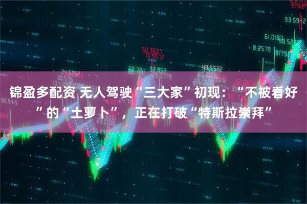 锦盈多配资 无人驾驶“三大家”初现:“不被看好”的“土萝卜”,正在打破“特斯拉崇拜”
